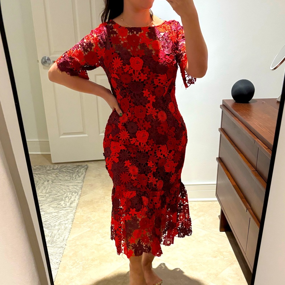 Eva Franco Anthropologie NWT Brigitte Embroidered & Lined Midi Dress Size 6 - Picture 5 of 5